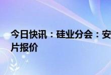 今日快讯：硅业分会：安泰科决定自本周起暂停M6单晶硅片报价