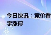 今日快讯：竞价看龙头：7天6板恒久科技一字涨停