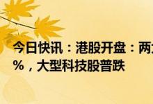 今日快讯：港股开盘：两大指数低开，恒生科技指数跌1.71%，大型科技股普跌