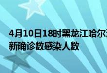 4月10日18时黑龙江哈尔滨轮疫情累计确诊及哈尔滨疫情最新确诊数感染人数
