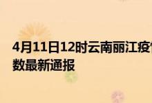 4月11日12时云南丽江疫情新增病例数及丽江疫情目前总人数最新通报