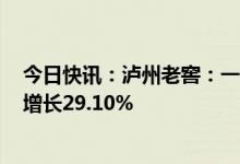 今日快讯：泸州老窖：一季度归母净利润37.13亿元，同比增长29.10%