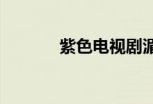 紫色电视剧湄澜传情中的人物