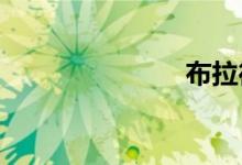布拉德米尔斯