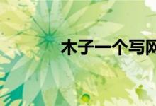 木子一个写网络小说的男恶魔