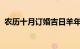 农历十月订婚吉日羊年清单哪一天适合订婚