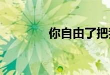 你自由了把我的快乐还给我