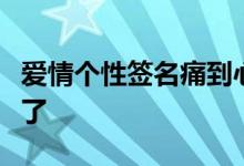 爱情个性签名痛到心里铁石心肠的人都被伤透了