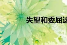 失望和委屈这种事没必要解释