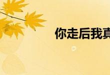 你走后我真的没有开心过