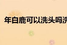年白鹿可以洗头吗洗头的小技巧可以写下来