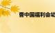 曹中国福利会幼儿园高级教师