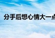 分手后想心情大一点不要说那些牵强的理由