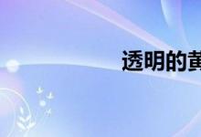 透明的黄靖伦唱着歌