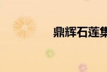 鼎辉石莲集团中国区总裁