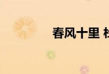春风十里 杜牧的诗中词语
