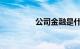 公司金融是什么知识介绍