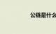 公链是什么知识介绍