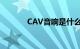 CAV音响是什么品牌知识介绍