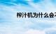 榨汁机为什么会不转动知识介绍