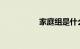 家庭组是什么知识介绍