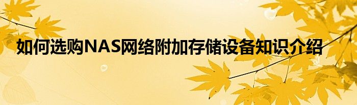 如何选购NAS网络附加存储设备知识介绍