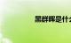 黑群晖是什么知识介绍