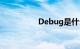 Debug是什么知识介绍