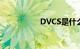 DVCS是什么知识介绍