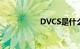 DVCS是什么知识介绍