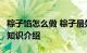 粽子馅怎么做 粽子最好吃的6种馅料做法分享知识介绍