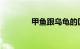 甲鱼跟乌龟的区别知识介绍