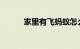 家里有飞蚂蚁怎么解决知识介绍