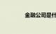金融公司是什么知识介绍