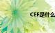 CEF是什么知识介绍
