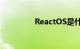 ReactOS是什么知识介绍