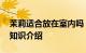 茉莉适合放在室内吗 能放在室内养殖茉莉吗知识介绍