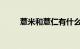 薏米和薏仁有什么区别吗知识介绍