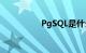 PgSQL是什么知识介绍