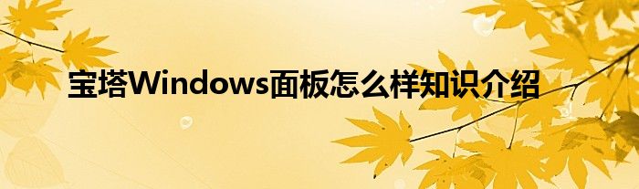 宝塔Windows面板怎么样知识介绍