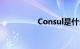 Consul是什么知识介绍
