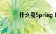 什么是Spring Boot知识介绍
