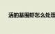活的基围虾怎么处理比较干净知识介绍