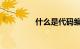 什么是代码编程知识介绍