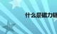 什么是磁力链接知识介绍