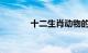 十二生肖动物的排序知识介绍
