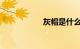灰帽是什么知识介绍