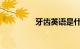牙齿英语是什么知识介绍