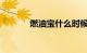 燃油宝什么时候添加知识介绍