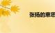 张扬的意思知识介绍